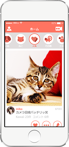 スクリーンショット